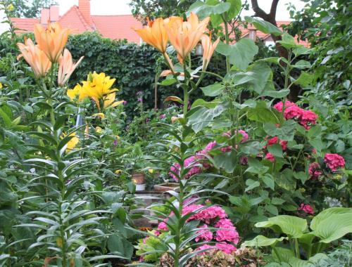 a garden with colorful flowers and plants at Herrenhof in Worms