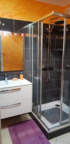 une salle de bain avec douche et lavabo dans l'établissement dupleix U Forcone, à Ajaccio