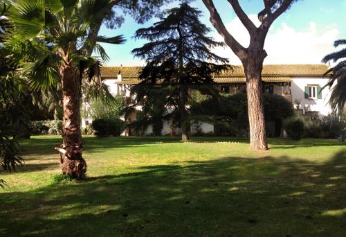 a yard with palm trees and a building at B&B La Locandiera in Castiglione della Pescaia