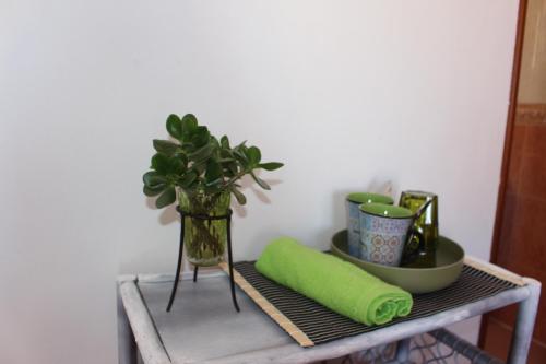 a shelf with a green towel and a plant on it at Sagres Sunny Room with private bathroom 300m from the beach in Sagres