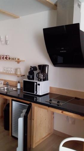 a kitchen with a stove and a microwave on a counter at Joli studio sympa in Saint-Jean-Saint-Nicolas