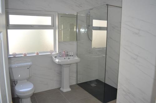 a bathroom with a toilet and a sink and a shower at Drumahaman Cottage in Ballycastle