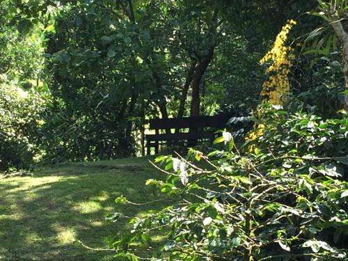 a park bench sitting in the middle of a garden at El Romeron Casa de Campo in San Francisco
