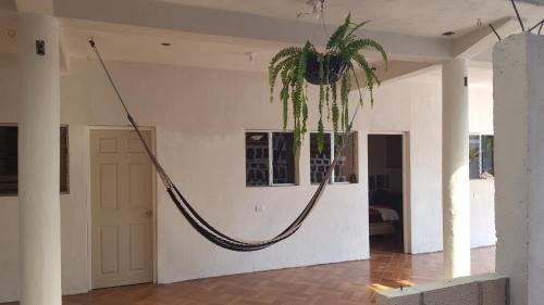 a room with a plant hanging from a wall at Casa LLEMO in San Pedro La Laguna