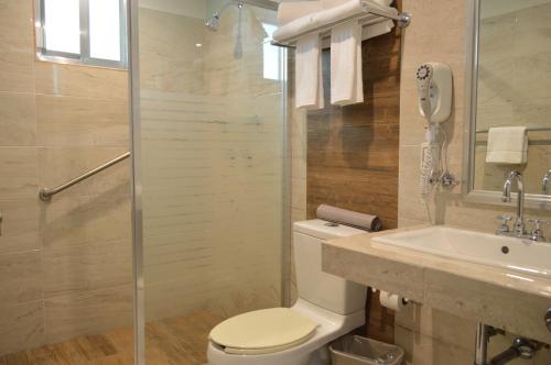 y baño con aseo, lavabo y ducha. en hotel villa magna poza rica, en Poza Rica de Hidalgo