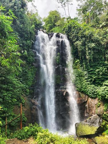 a waterfall in the middle of a forest at Desa Eko in Munduk