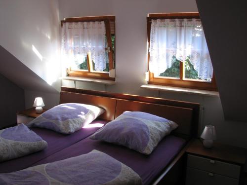 two beds in a bedroom with two windows at Ferienwohnung Lautner in Zirndorf