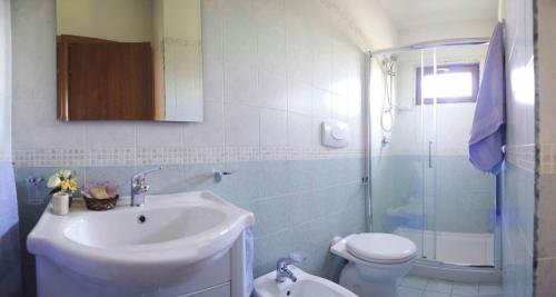 a bathroom with a sink and a toilet and a shower at Agriturismo Antichi Ulivi in Mattinata