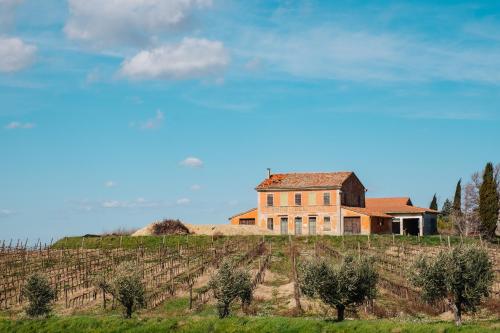 an old house on a hill in a vineyard at Hotel Panorama in Bertinoro