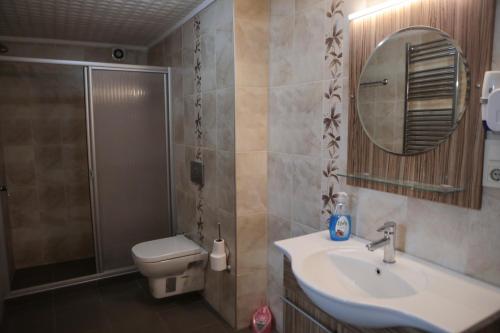 a bathroom with a toilet and a sink and a shower at Aslan Home Apart in Istanbul