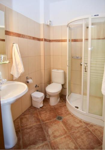 a bathroom with a toilet and a shower and a sink at Moonbeam Hotel in Pefkari