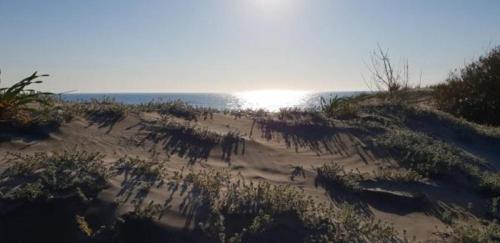 a sandy beach with the ocean in the background at Missipezza Residence a Frassanito in Alimini