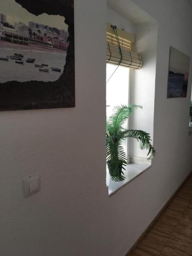 a wall with a picture and a plant in a room at Hostal Fantoni in Cádiz