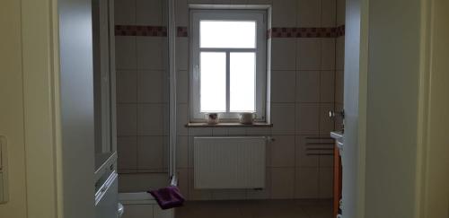 a bathroom with a window and a sink and a mirror at Im Ballhaus Neuhilbersdorf in Chemnitz