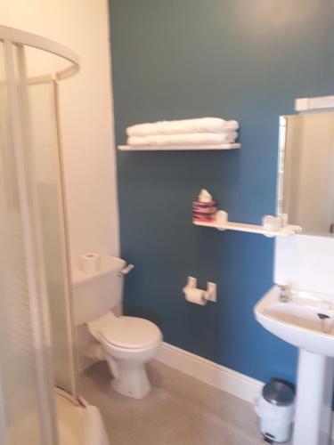 Ένα μπάνιο στο Castlemorris House