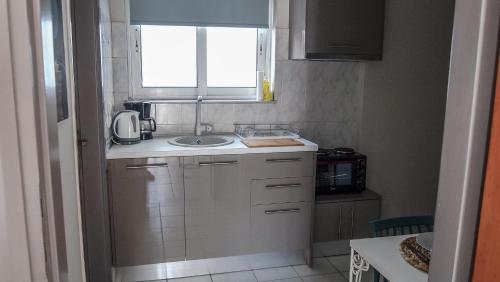 A kitchen or kitchenette at Sofia City Beach 3 Apts Nea Chora Chania steps from the beach