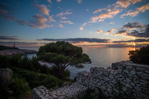 Afbeelding uit fotogalerij van Fortino B&B Capri in Capri