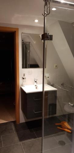 a bathroom with a sink and a mirror at Haus am Koiteich in Plau am See