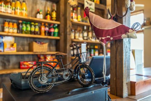 a bike on top of a counter in a bar at Villa Hubertus in Srebrna Góra