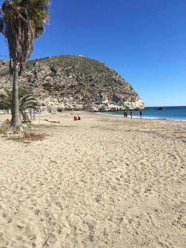 a sandy beach with a palm tree and the ocean at Playa 2 in Níjar