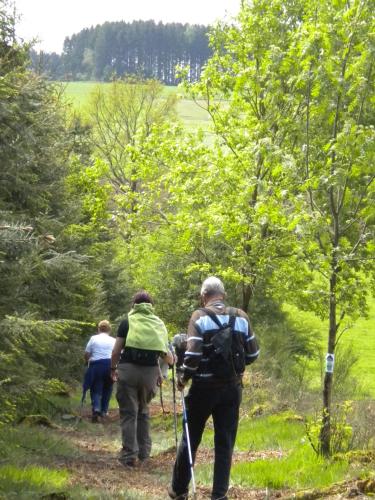 a group of people walking down a trail at Gîtes Les Myosotis in Morhet