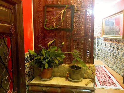 a room with a table with potted plants on it at Casa Ronda 1808 ROOMS in Ronda