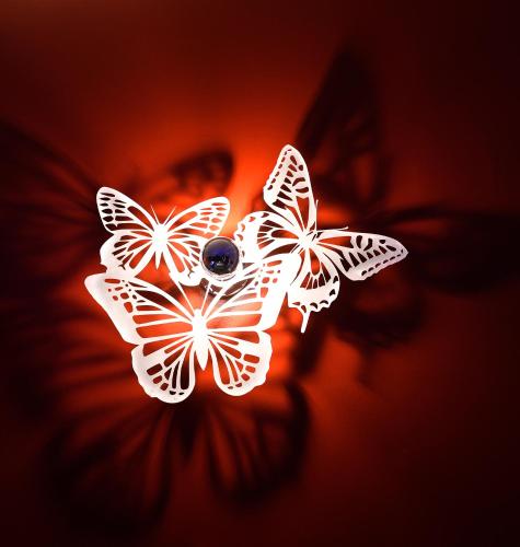 a group of white butterflies on a red background at Une Parenthese pour Deux in Plan-dʼOrgon