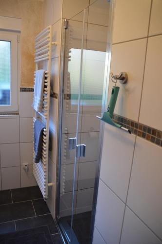 a shower with a glass door in a bathroom at Ferienwohnung 554 - Urbar, vis-à-vis der Loreley in Urbar