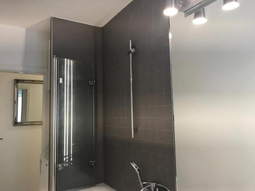 een badkamer met een douche en een wastafel bij Zentrum Apartment Bad Schandau in Bad Schandau