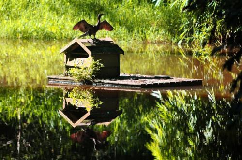 a bird sitting on top of a bird house in the water at Mango Hill Farm in Peachester