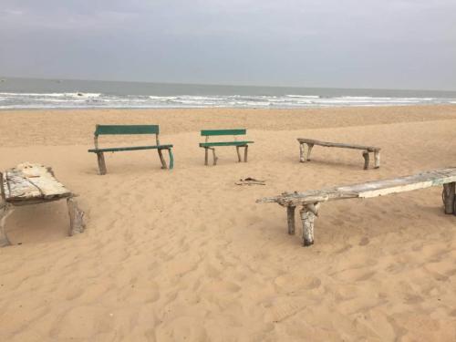 three benches sitting on the beach near the ocean at Chez Bethy Jungle et Océan in Abene