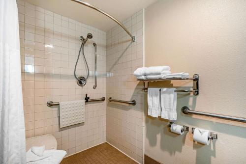 Et badeværelse på Comfort Inn & Suites Sacramento - University Area