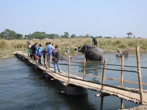 a group of people and an elephant crossing a bridge at Sapana Village Lodge in Sauraha