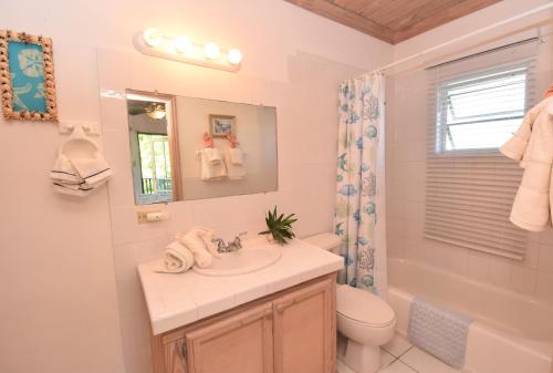 a bathroom with a sink and a toilet and a mirror at The Sugar Apple Lodging in Harbour Island