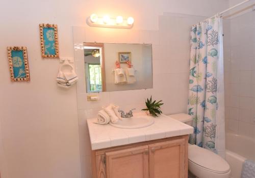 a bathroom with a sink and a toilet and a mirror at The Sugar Apple Lodging in Harbour Island