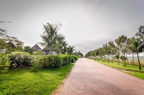 a path leading to the beach with palm trees and a house at Emburara Farm Lodge in Mbarara