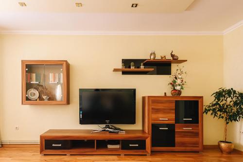 a living room with a tv and a wooden entertainment center at СВІТЛО ЦІЛОДОБОВО Просторі апартаменти біля гідропарку Топільче in Ternopilʼ