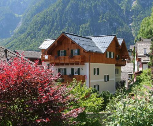 a house with a metal roof on a mountain at Weisses Lamm in Hallstatt