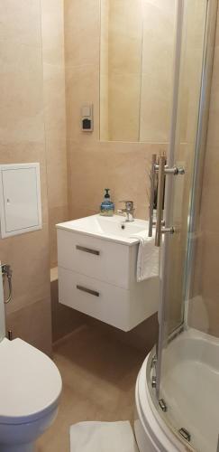 Kúpeľňa v ubytovaní Apartament Bernadett