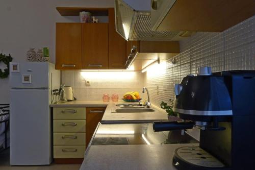 Η κουζίνα ή μικρή κουζίνα στο Diamant's Place with Treehouse Garden