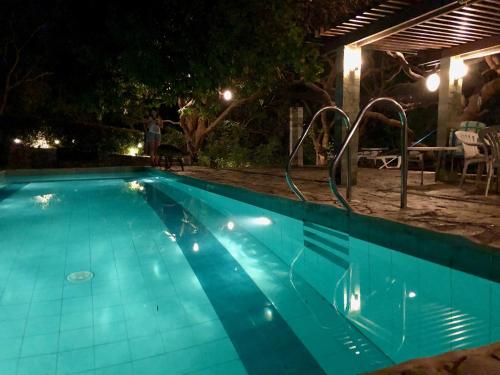 a swimming pool at night with a person and a dog at Modern Room with beautiful pool in Bagac
