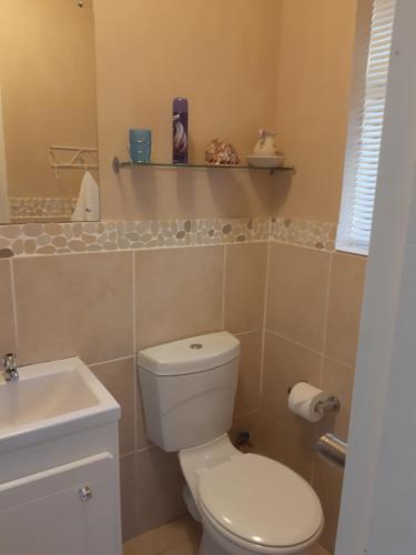 a bathroom with a white toilet and a sink at On Yonder Hill in Cape Town