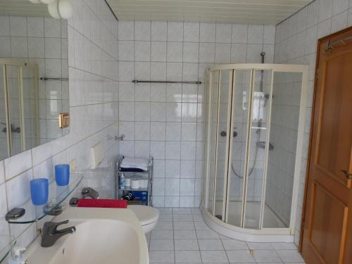 Geisenhausen的住宿－Ferienwohnung in der Nähe Landshut，带淋浴、盥洗盆和卫生间的浴室