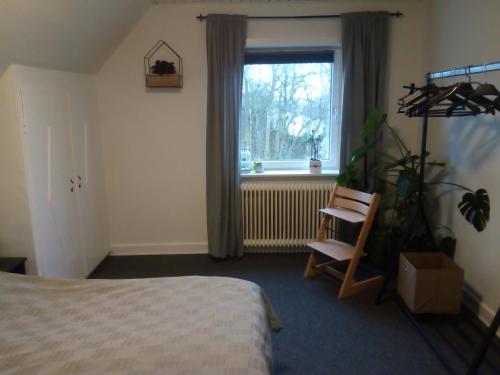 a bedroom with a bed and a plant and a window at Bed and Breakfast i Struer in Struer