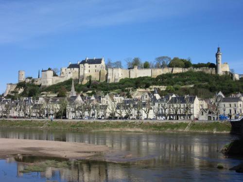 a castle on top of a hill next to a river at L'ancienne cave in Prinçay