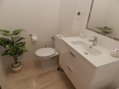 baño con aseo, lavamanos y planta en Apartment Bellavista 36 Cabo Roig, en Cabo Roig