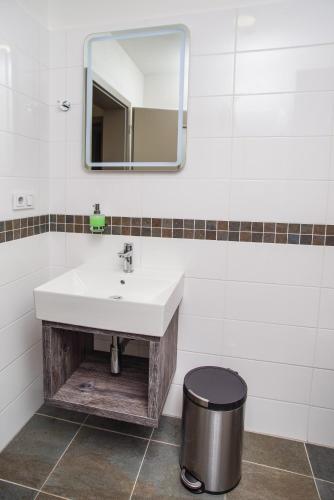 a bathroom with a sink and a mirror at Penzion Lesni in Milovice