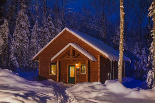 a cabin in the woods in the snow at night at Robert Frost Mountain Cabins in Middlebury