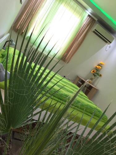 GREEN DREAMS
