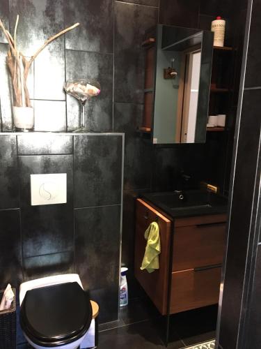 a bathroom with a toilet and a sink at Au bien être in Bastia